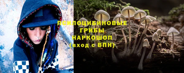 СК Абинск