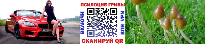 Псилоцибиновые грибы GOLDEN TEACHER  где можно купить   mega вход  Агидель 